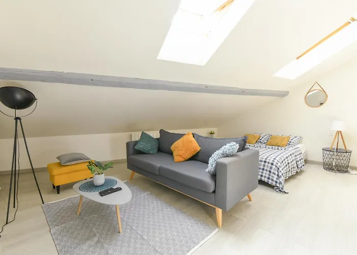 Appartement Hypercentre - Nancy